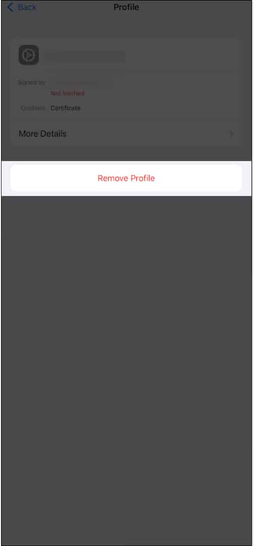 Ta bort profil-knappen i iPhone Settings-appen för att ta bort en profil