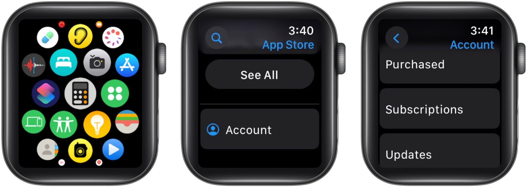 Accessing the Updates page in the Apple Watch App Store