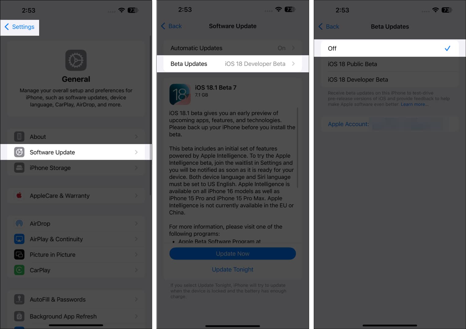 Toggling off iOS 18 beta updates on an iPhone