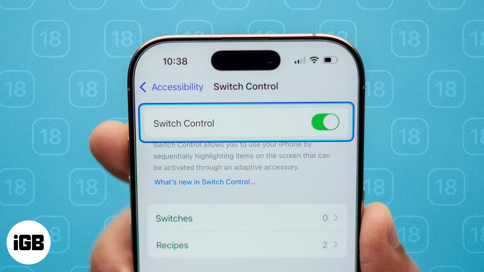 How to use Switch Control on iPhone and iPad