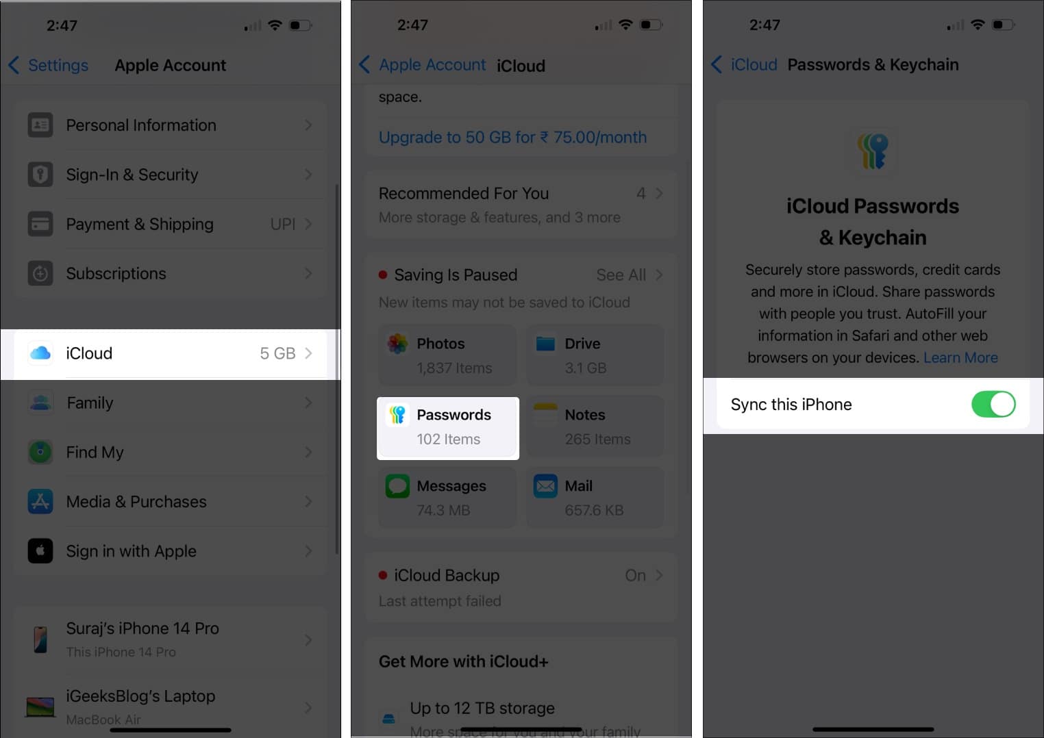 Enabling iCloud sync for the Passwords app on an iPhone