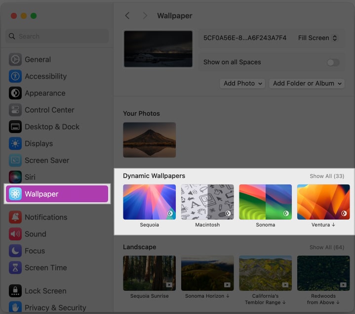 Dynamic Wallpapers section in the macOS System Settings app