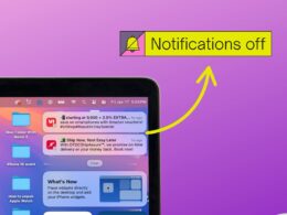 Turn off iPhone notifications on Mac