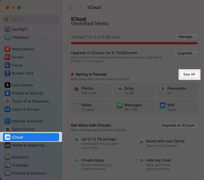 See All button in macOS System Settings to see what's being backed up to iCloud.