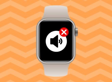 Fix Apple Watch speaker not working.