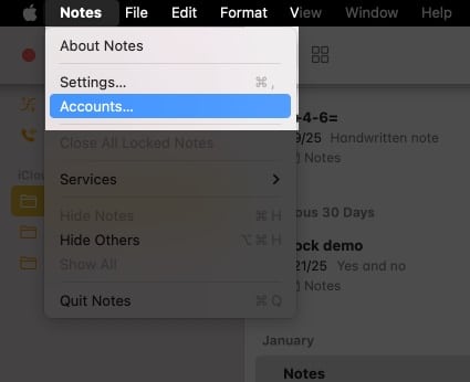 Open Notes app on Mac go to the menu bar and select Accounts