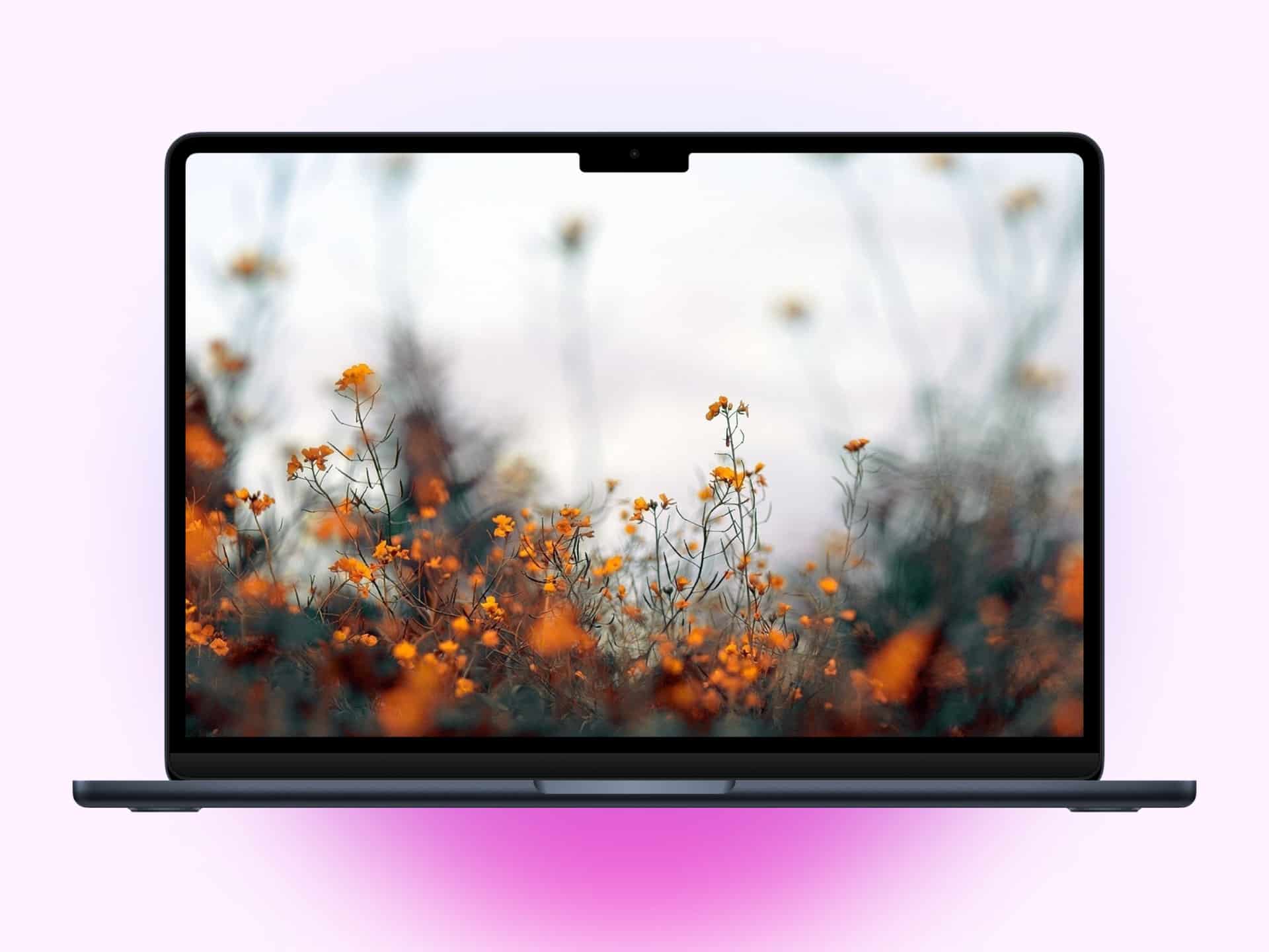 Macbook Autumn Aesthetic Wallpaper