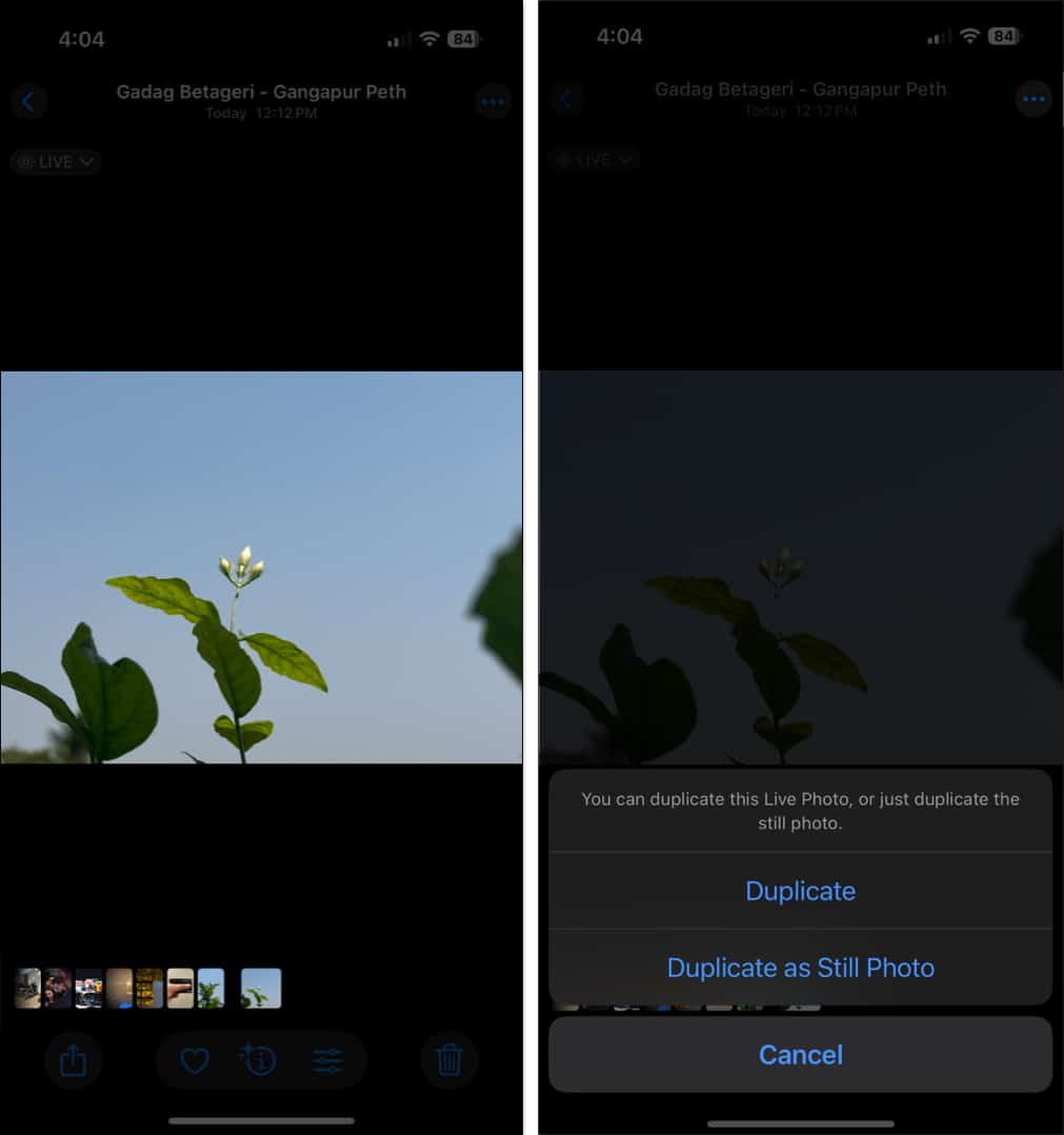 Duplicating a Live Photo as a still photo in the iOS Photos app